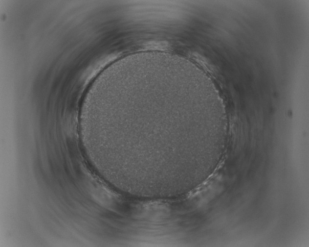 X0000067500146200604281551