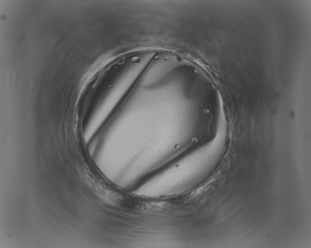 X0000067500152200604281551