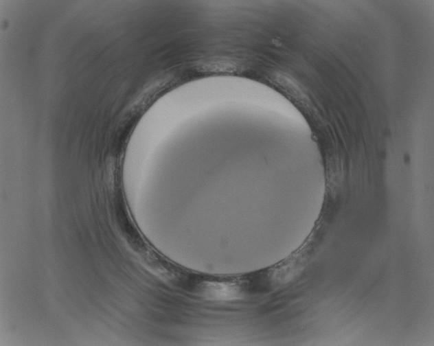X0000067500167200604281552