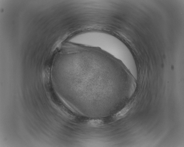 X0000067500168200604281552