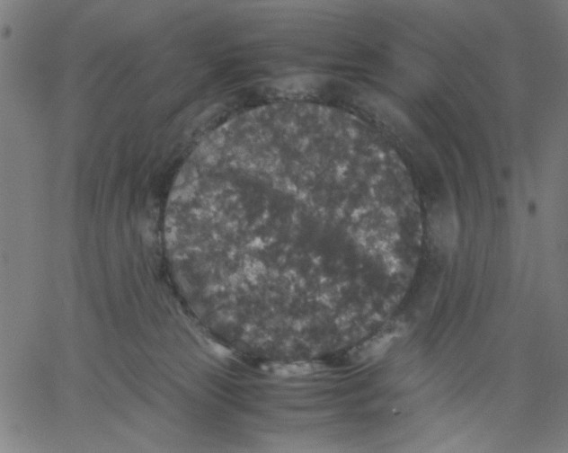 X0000067500181200604281552