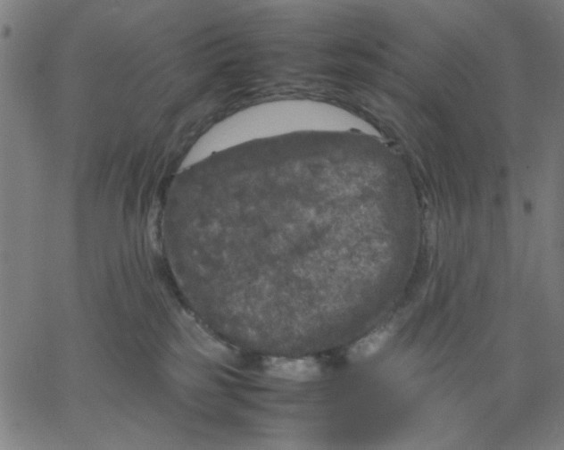 X0000067500185200604281552