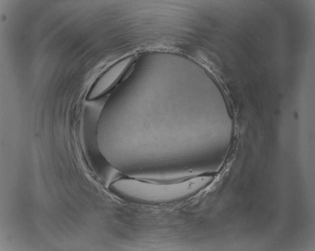 X0000067500193200604281551
