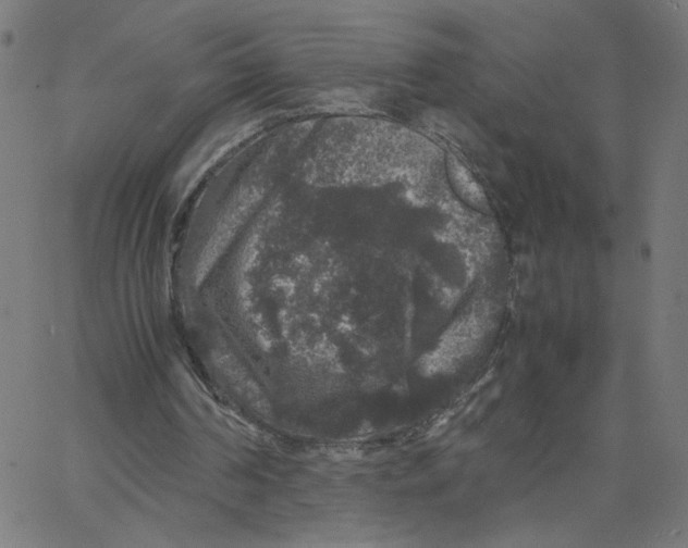 X0000067500194200604281551