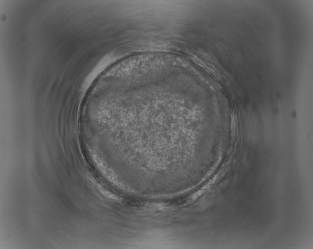X0000067500195200604281551