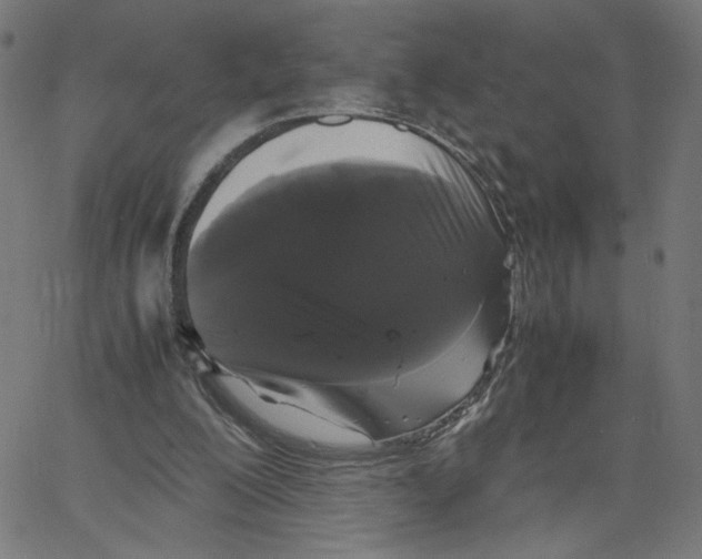 X0000067500200200604281551