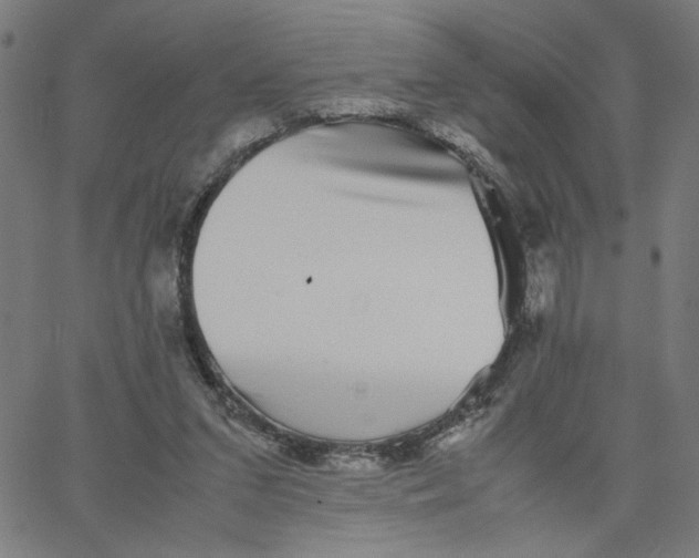X0000067500207200604281551