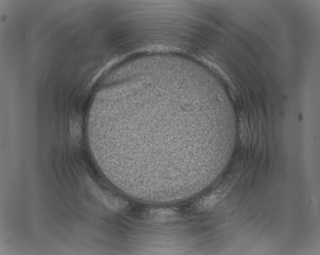 X0000067500208200604281551