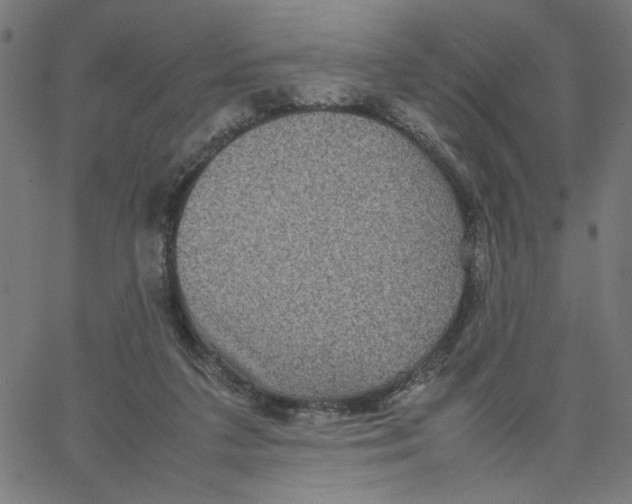 X0000067500211200604281551