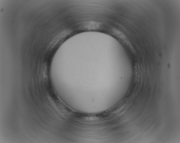 X0000067500212200604281551