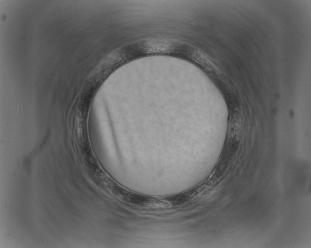 X0000067500215200604281551