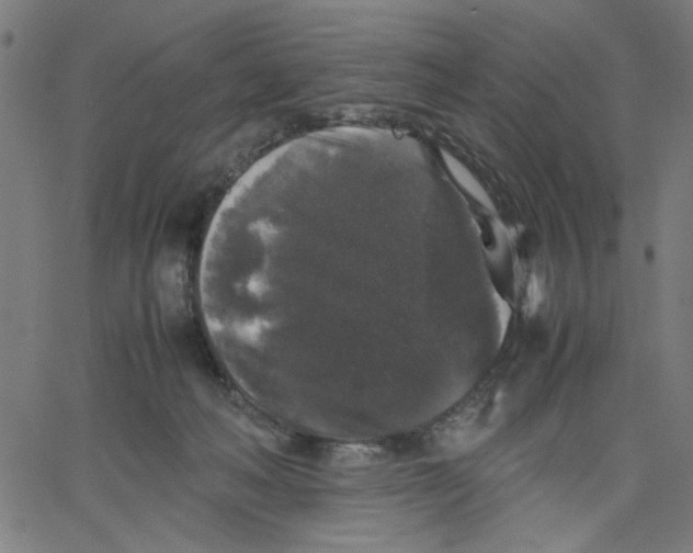 X0000067500222200604281551