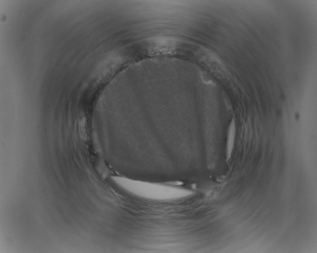 X0000067500224200604281551