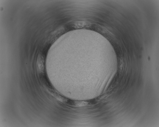 X0000067500226200604281551