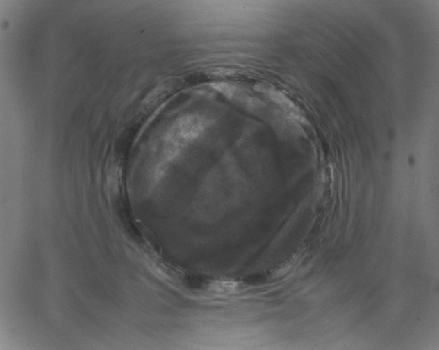 X0000067500227200604281551