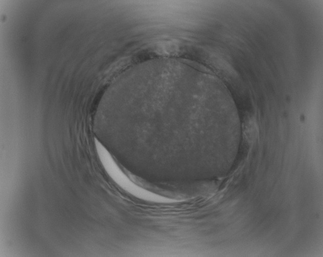 X0000067500233200604281551