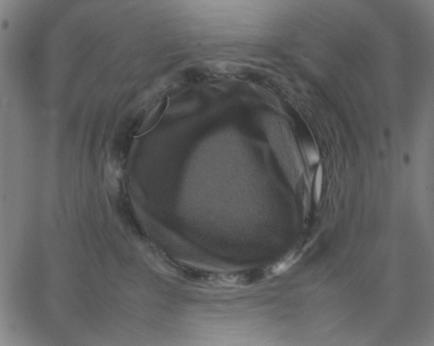 X0000067500235200604281551