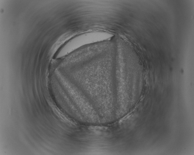 X0000067500242200604281550