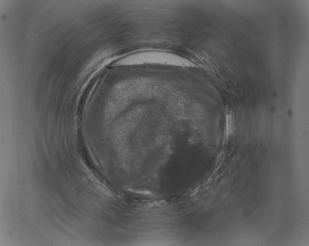 X0000067500243200604281550