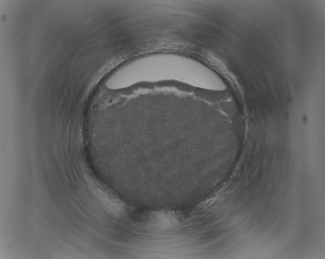 X0000067500250200604281550