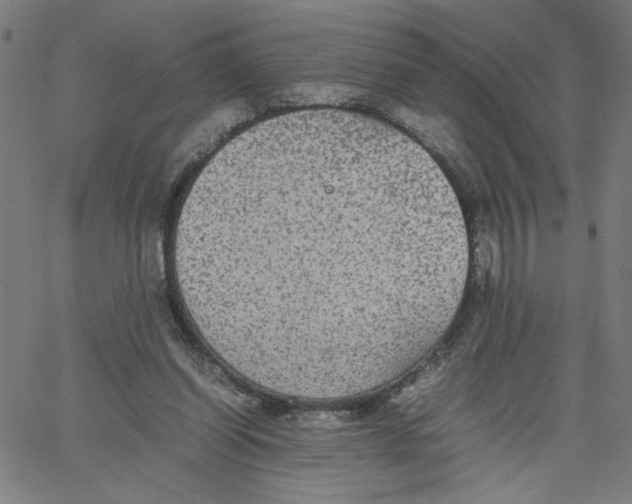 X0000067500254200604281550