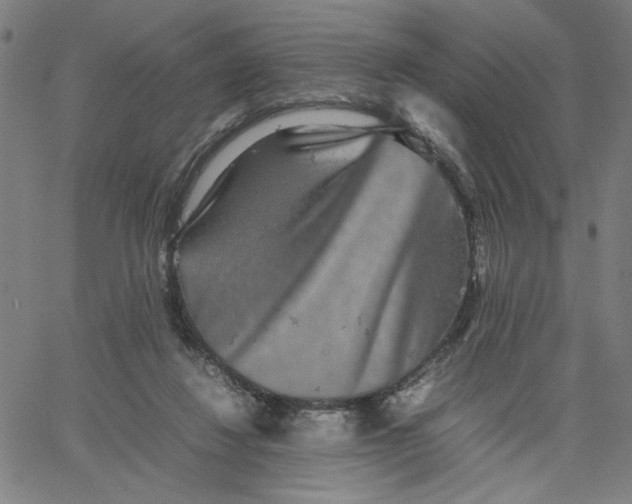 X0000067500260200604281550