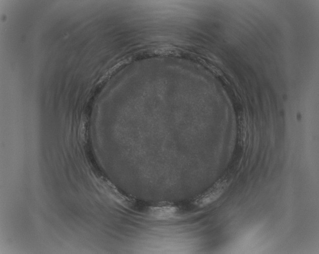 X0000067500266200604281550