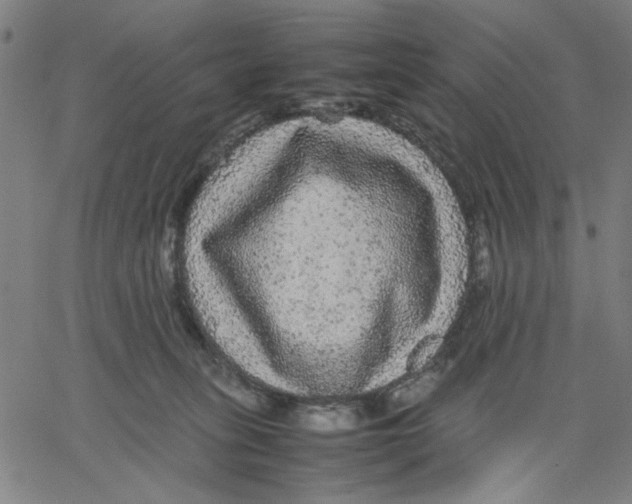 X0000067500275200604281550