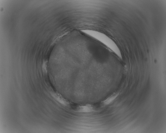 X0000067500286200604281550