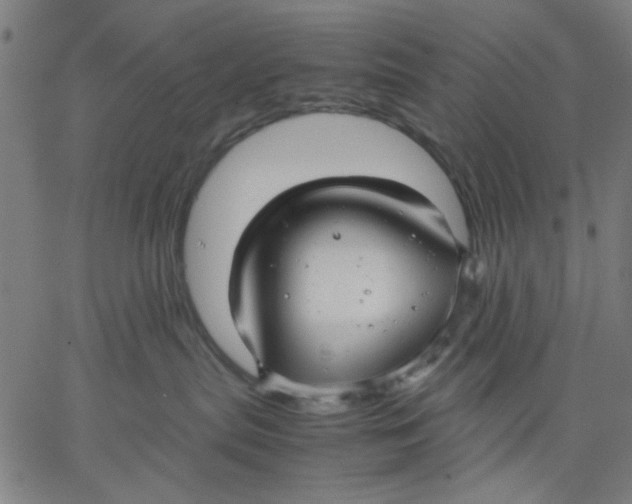 X0000067500287200604281551