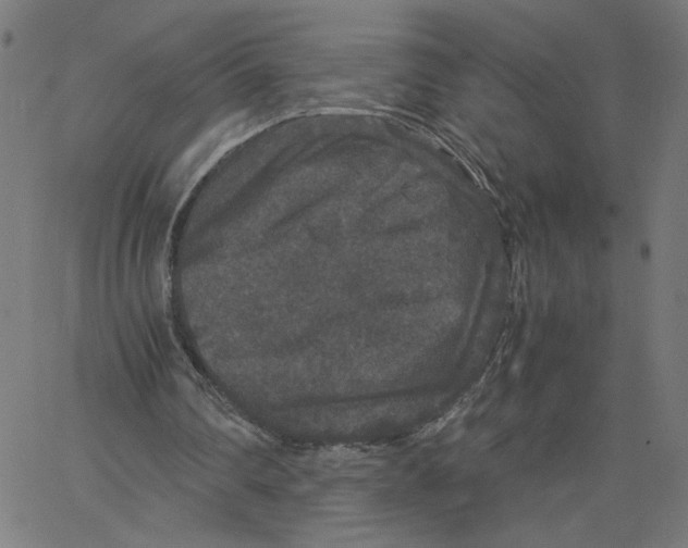 X0000067500290200604281550