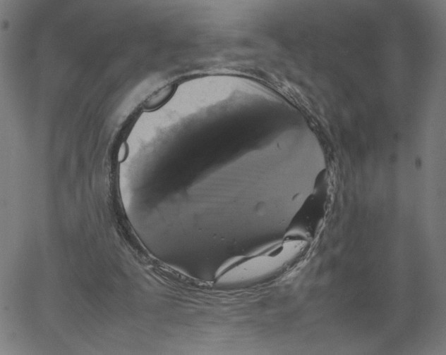 X0000067500295200604281550