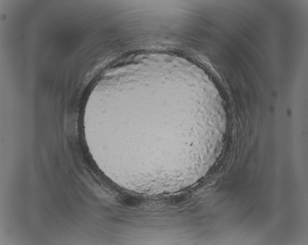 X0000067500299200604281550