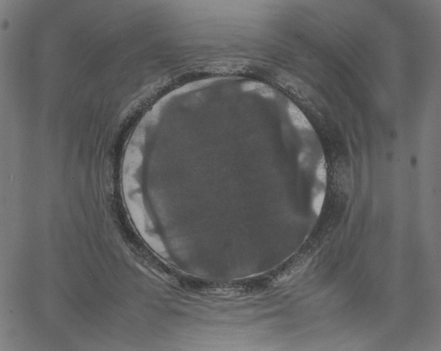 X0000067500303200604281550
