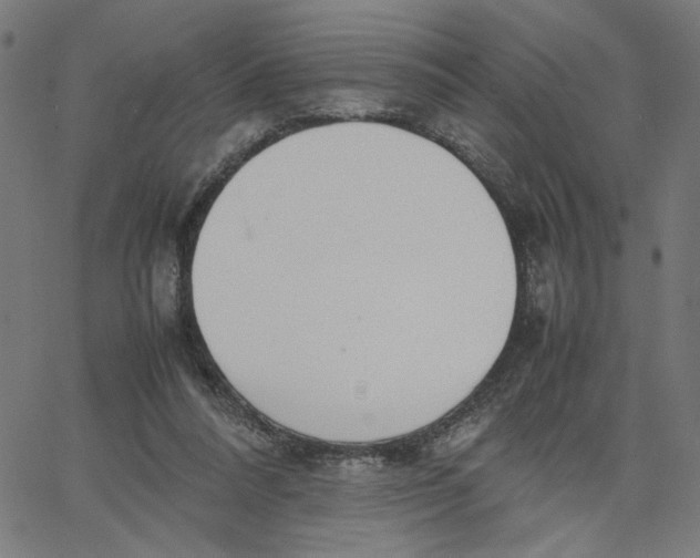X0000067500304200604281550