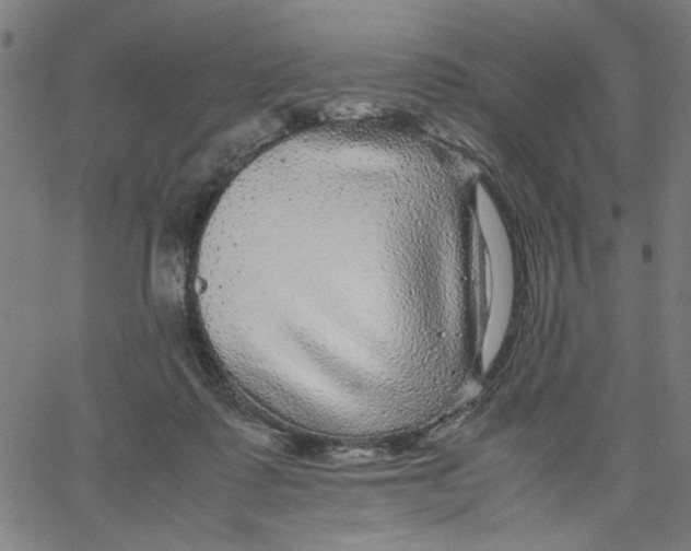X0000067500315200604281549