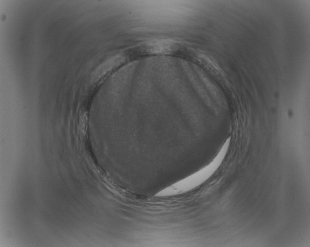 X0000067500325200604281549
