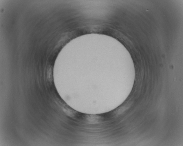 X0000067500336200604281549