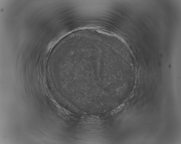 X0000067500337200604281548