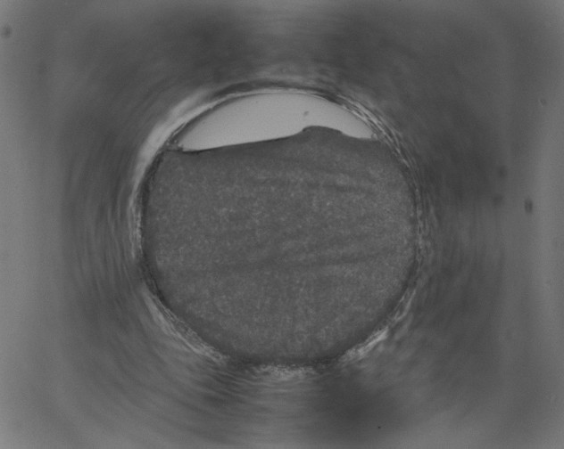 X0000067500343200604281548
