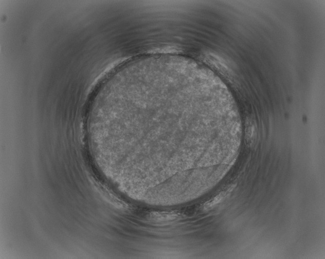 X0000067500351200604281548