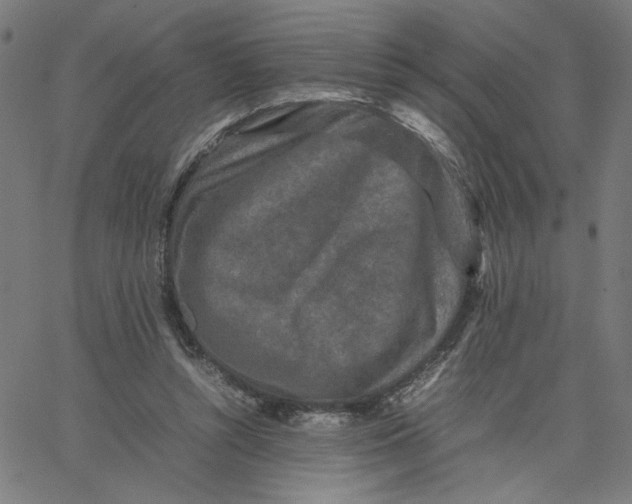 X0000067500352200604281548