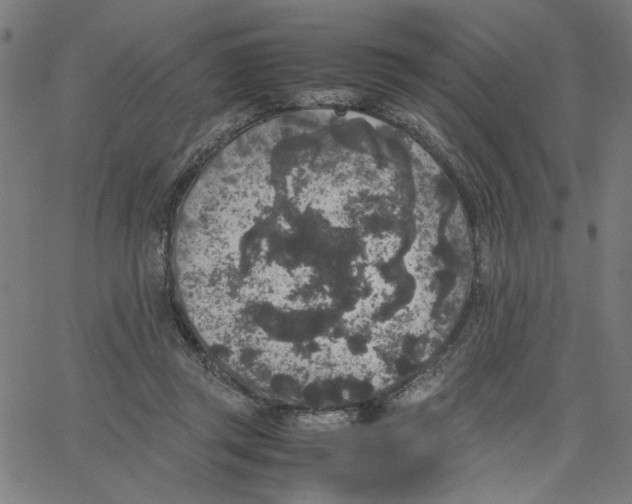 X0000067500357200604281549