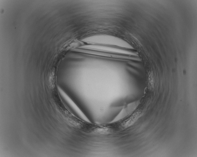 X0000067500364200604281549