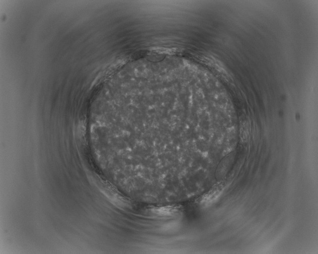 X0000067500365200604281549