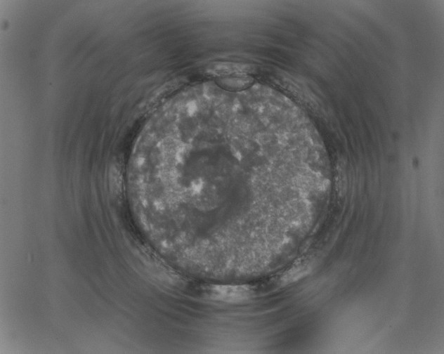 X0000067500371200604281549