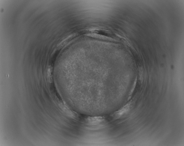 X0000067500378200604281549