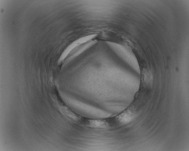 X0000067500380200604281549