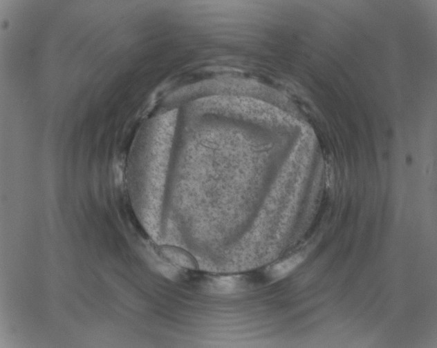 X0000067500382200604281549