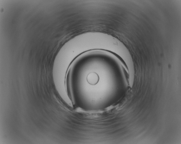 X0000067500383200604281549